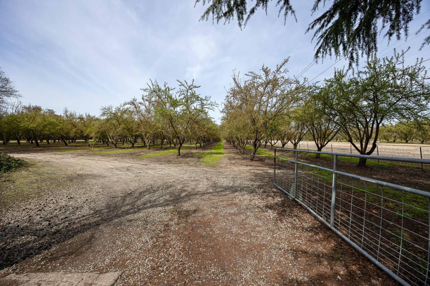 Detail Gallery Image 55 of 80 For 13419 Bentley St, Waterford,  CA 95386 - 3 Beds | 2 Baths