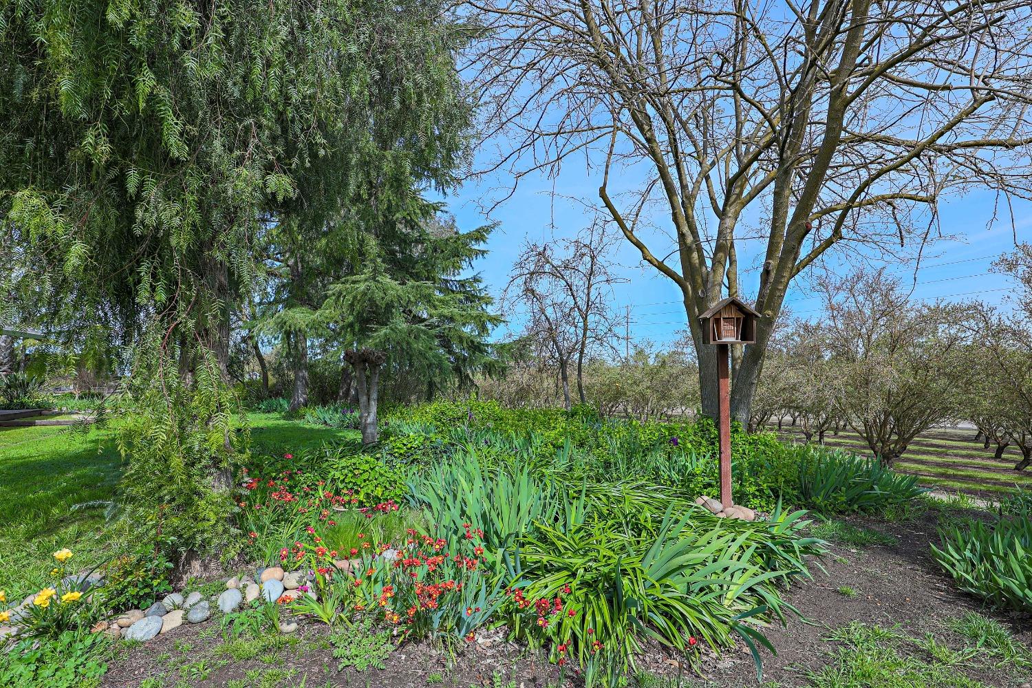 Detail Gallery Image 8 of 80 For 13419 Bentley St, Waterford,  CA 95386 - 3 Beds | 2 Baths