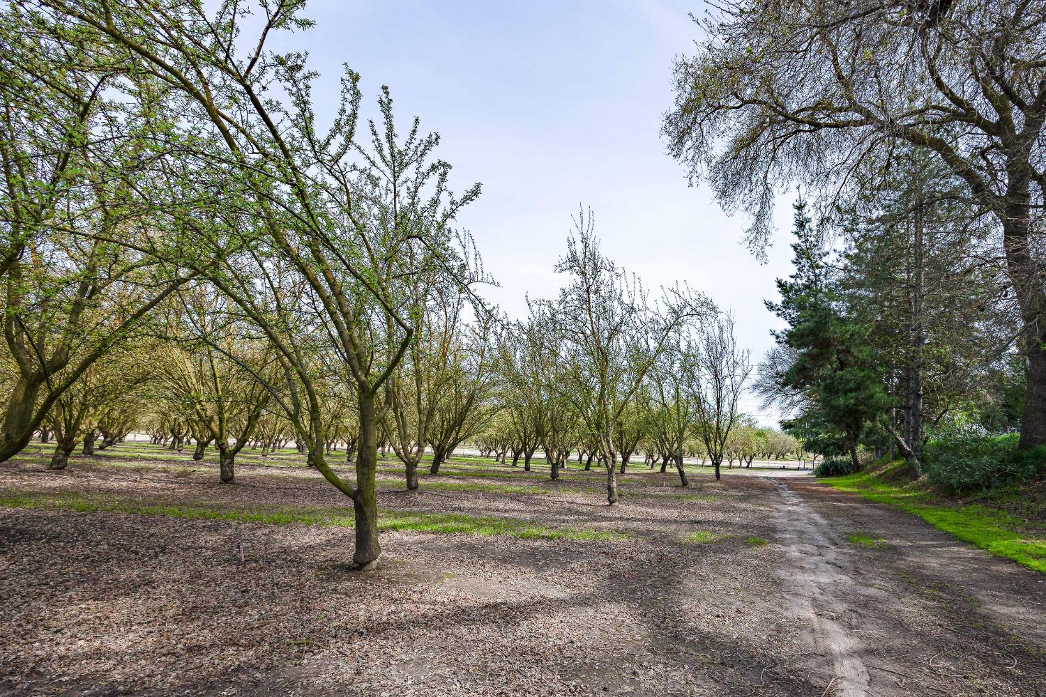 Detail Gallery Image 57 of 80 For 13419 Bentley St, Waterford,  CA 95386 - 3 Beds | 2 Baths