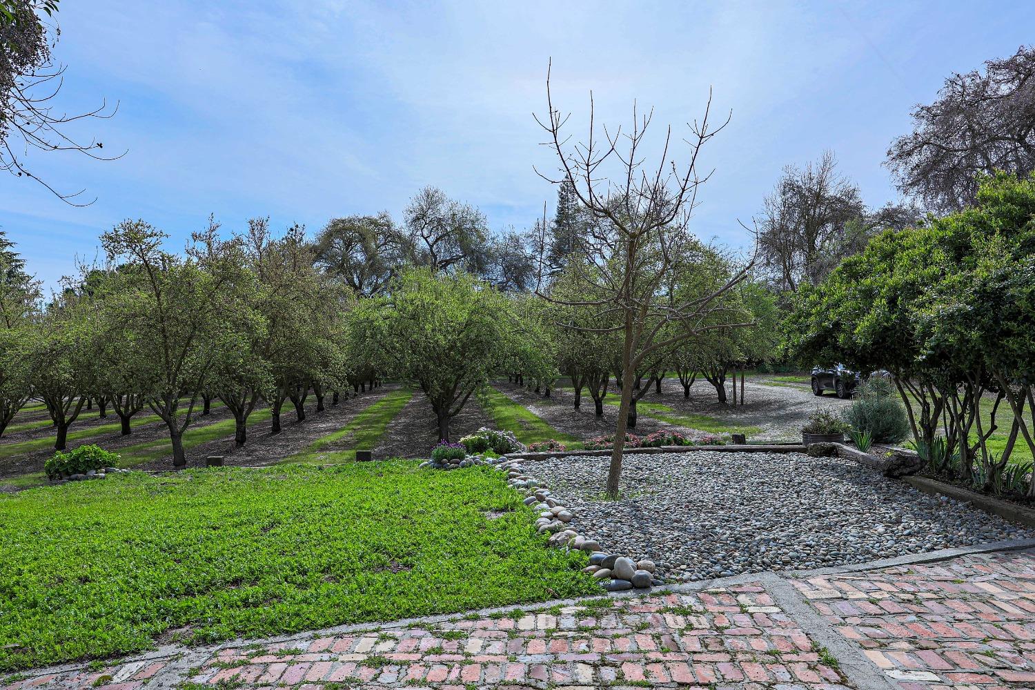 Detail Gallery Image 60 of 80 For 13419 Bentley St, Waterford,  CA 95386 - 3 Beds | 2 Baths