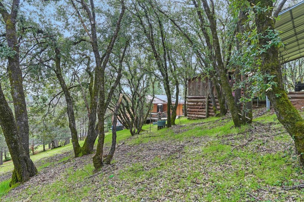 Detail Gallery Image 66 of 70 For 2151 Sweetwater Trl, Cool,  CA 95614 - 4 Beds | 2 Baths