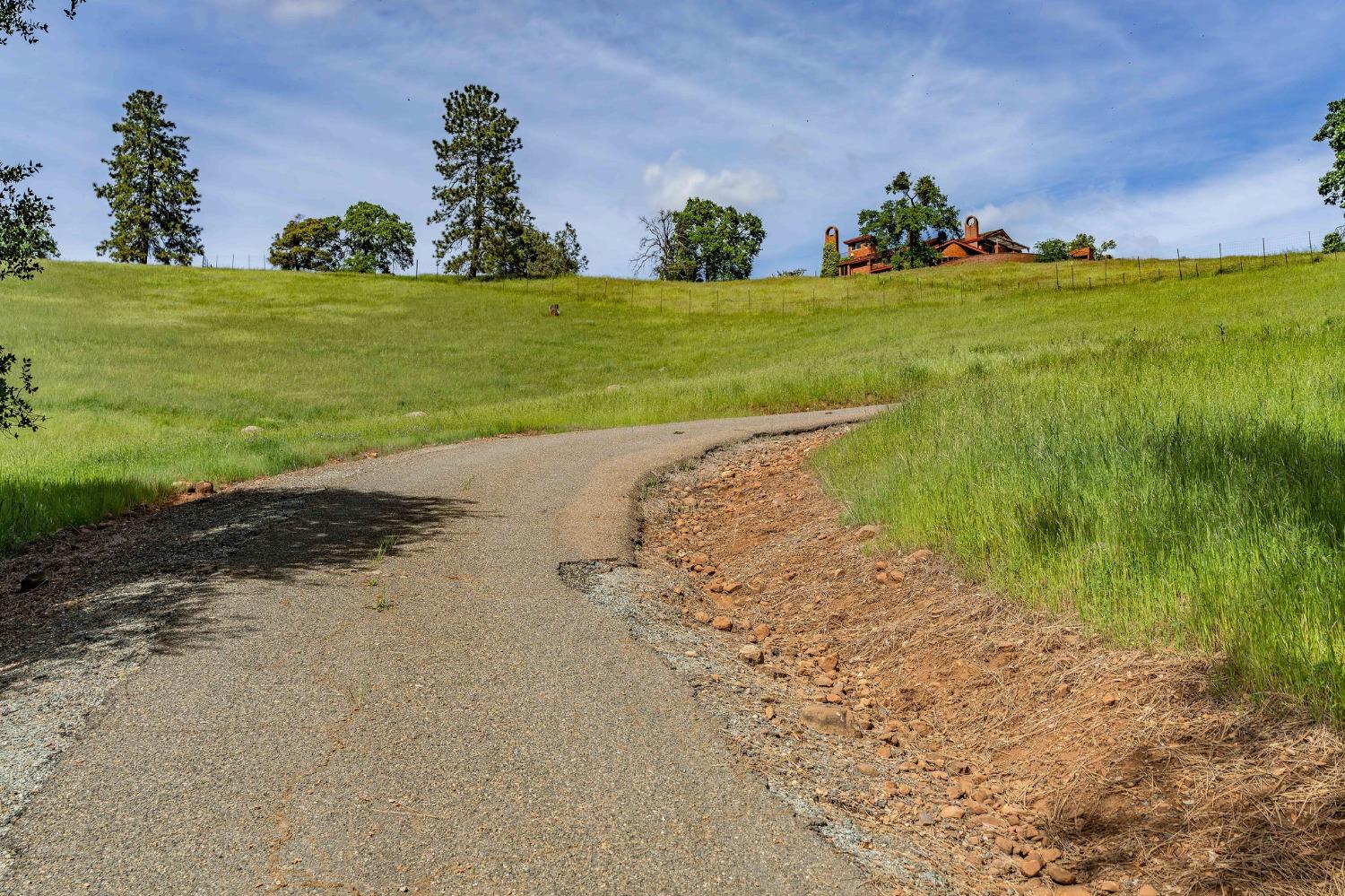Detail Gallery Image 85 of 92 For 15111 Tyler Rd, Fiddletown,  CA 95629 - 5 Beds | 4/2 Baths