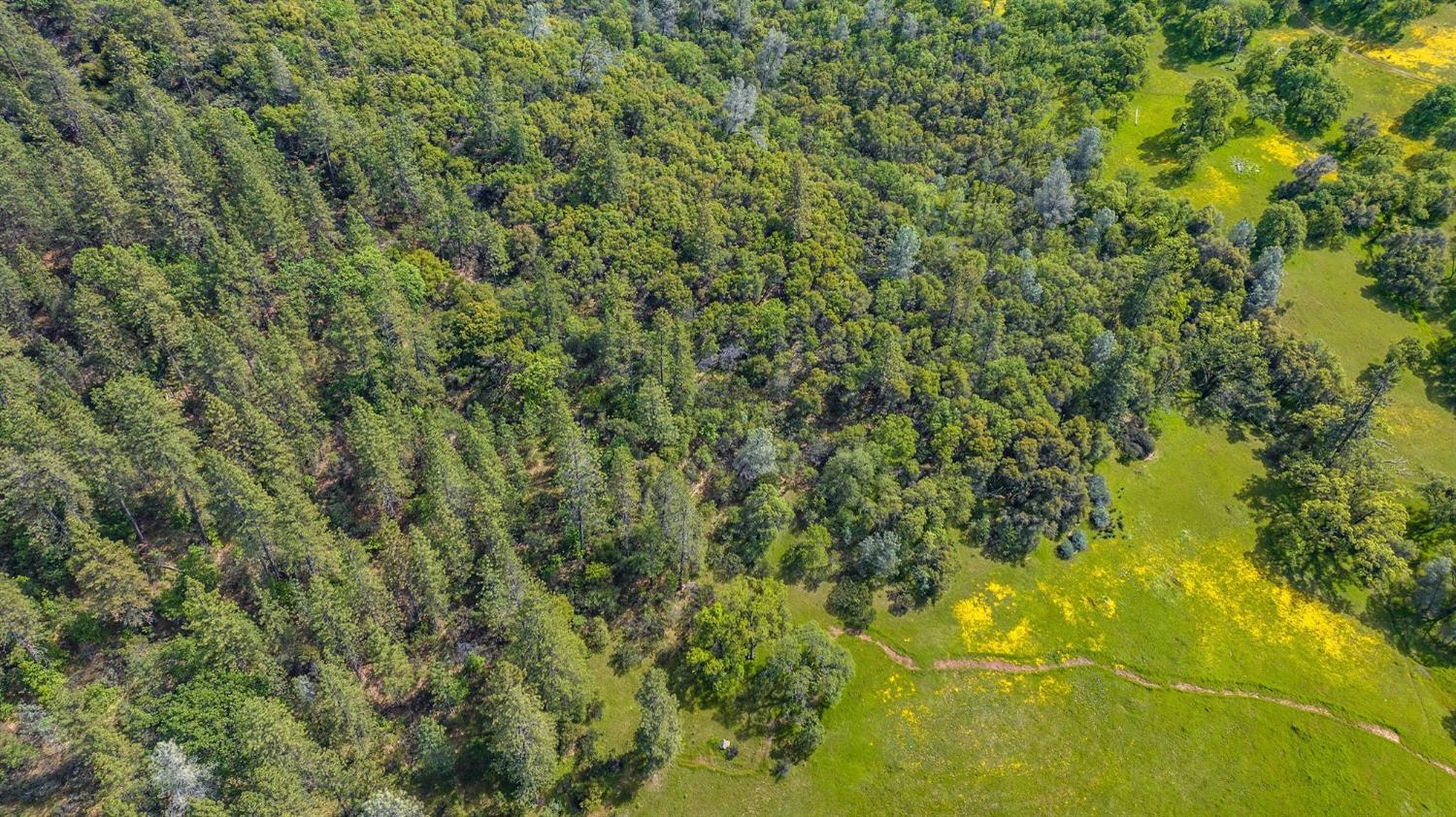 Detail Gallery Image 87 of 92 For 15111 Tyler Rd, Fiddletown,  CA 95629 - 5 Beds | 4/2 Baths