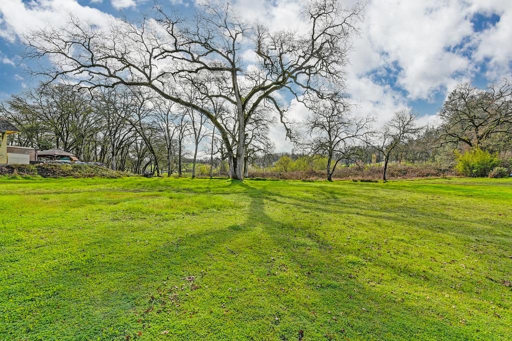 Lavender Court, Auburn, California image 37