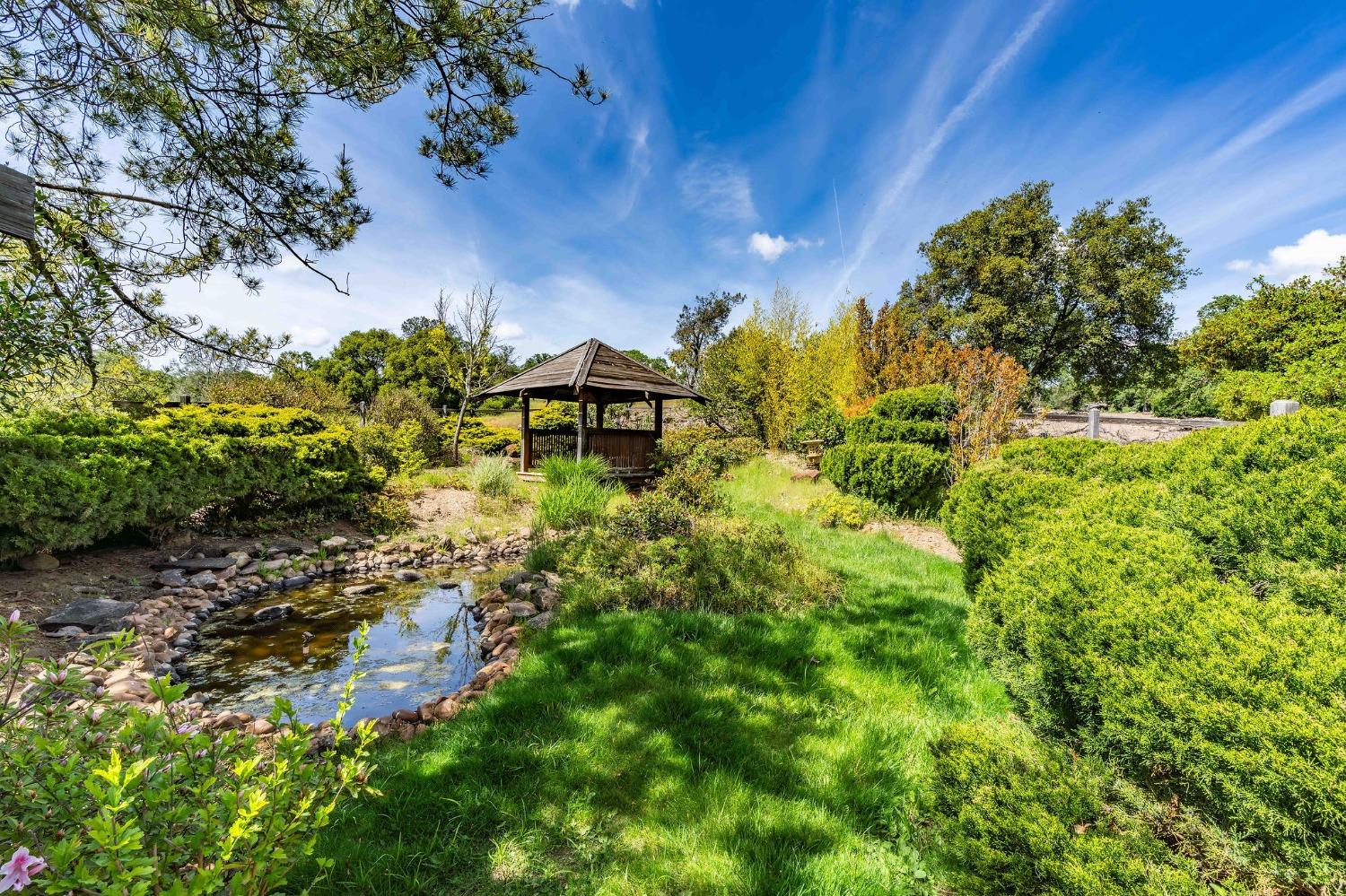 Detail Gallery Image 69 of 92 For 15111 Tyler Rd, Fiddletown,  CA 95629 - 5 Beds | 4/2 Baths
