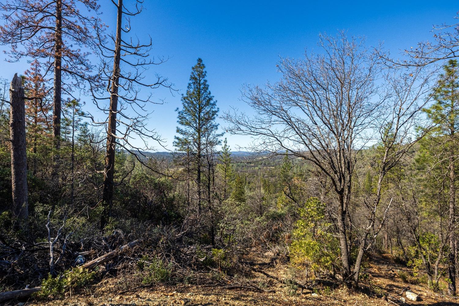 A Patterson Valley Road, Grass Valley, California image 33