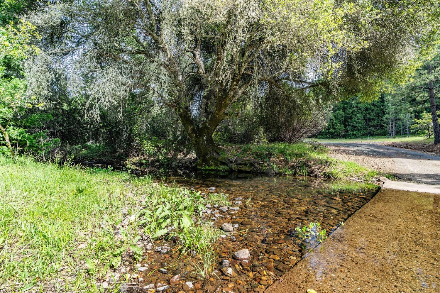 Detail Gallery Image 8 of 92 For 15111 Tyler Rd, Fiddletown,  CA 95629 - 5 Beds | 4/2 Baths