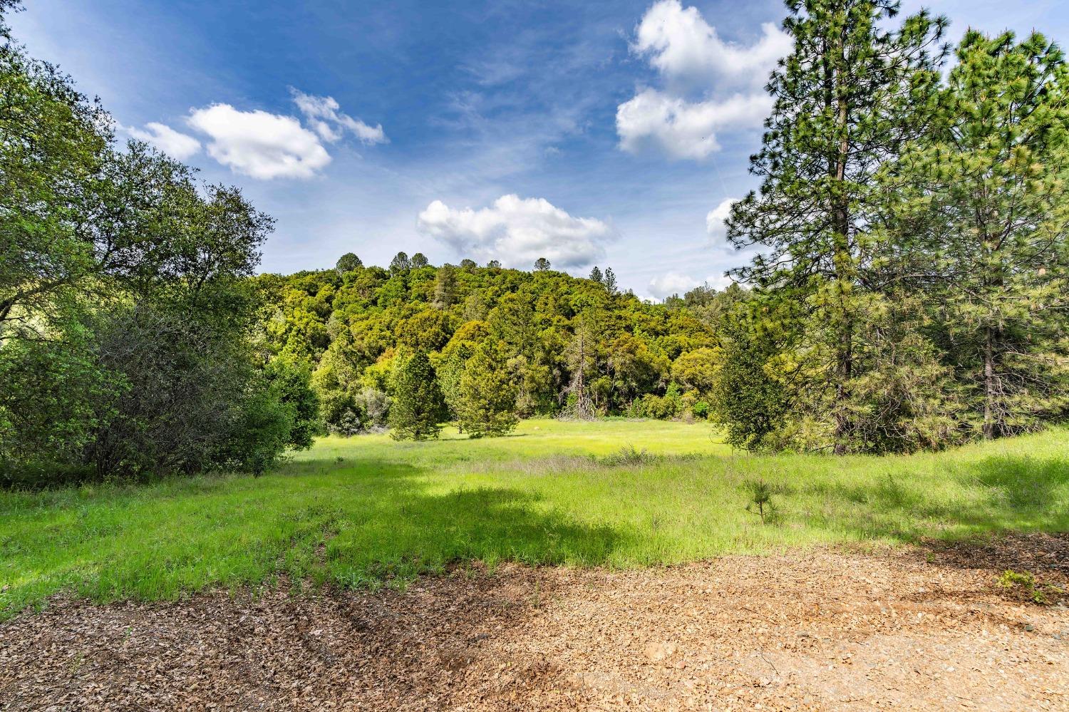 Detail Gallery Image 86 of 92 For 15111 Tyler Rd, Fiddletown,  CA 95629 - 5 Beds | 4/2 Baths