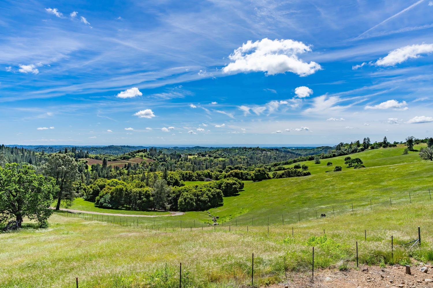 Detail Gallery Image 75 of 92 For 15111 Tyler Rd, Fiddletown,  CA 95629 - 5 Beds | 4/2 Baths