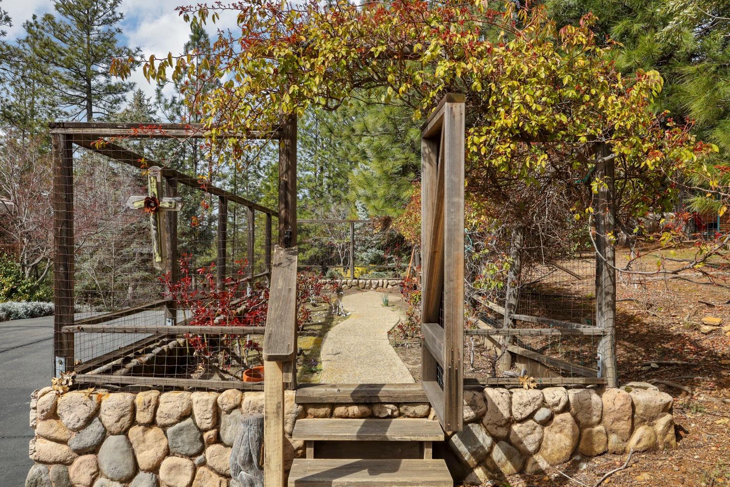 Detail Gallery Image 13 of 88 For 21811 Homestead Rd, Pine Grove,  CA 95665 - 3 Beds | 2/1 Baths