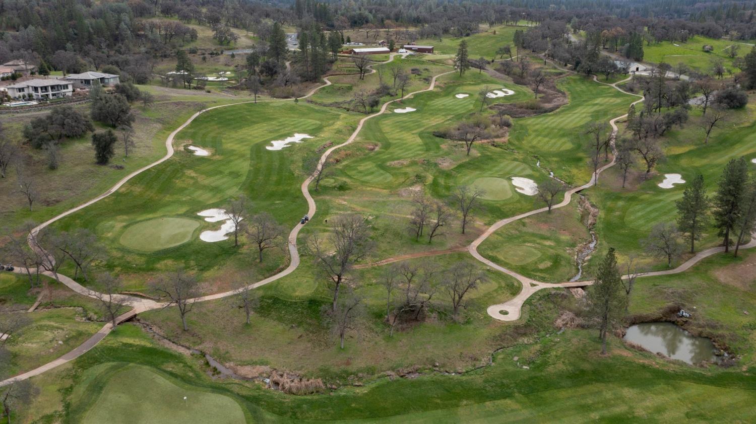 Torrey Pines, Auburn, California image 35