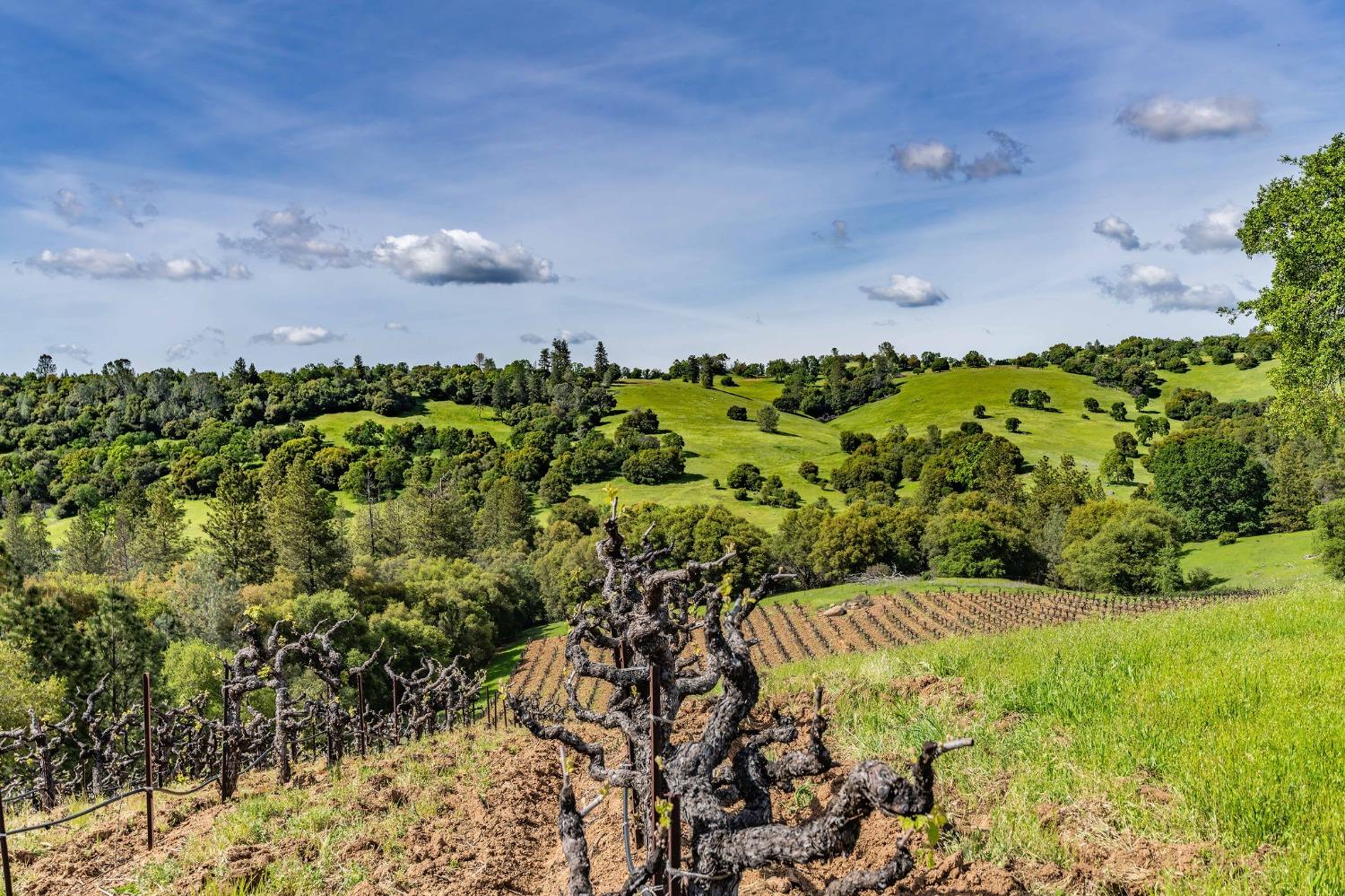 Detail Gallery Image 79 of 92 For 15111 Tyler Rd, Fiddletown,  CA 95629 - 5 Beds | 4/2 Baths