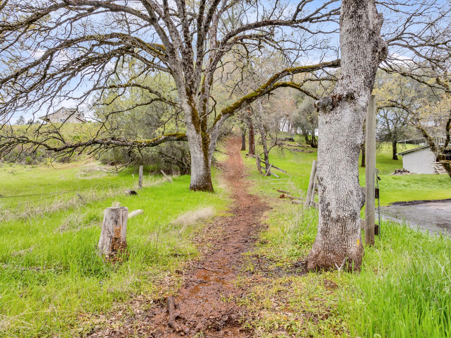 Secret Ravine Trail, Cool, California image 33