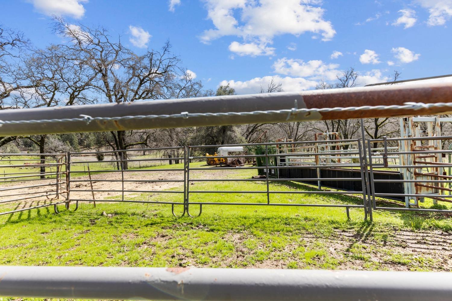 Detail Gallery Image 59 of 75 For 20219 Ponderosa Trl, Volcano,  CA 95689 - 3 Beds | 2/1 Baths