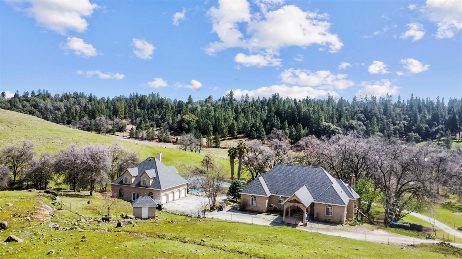 Detail Gallery Image 60 of 75 For 20219 Ponderosa Trl, Volcano,  CA 95689 - 3 Beds | 2/1 Baths