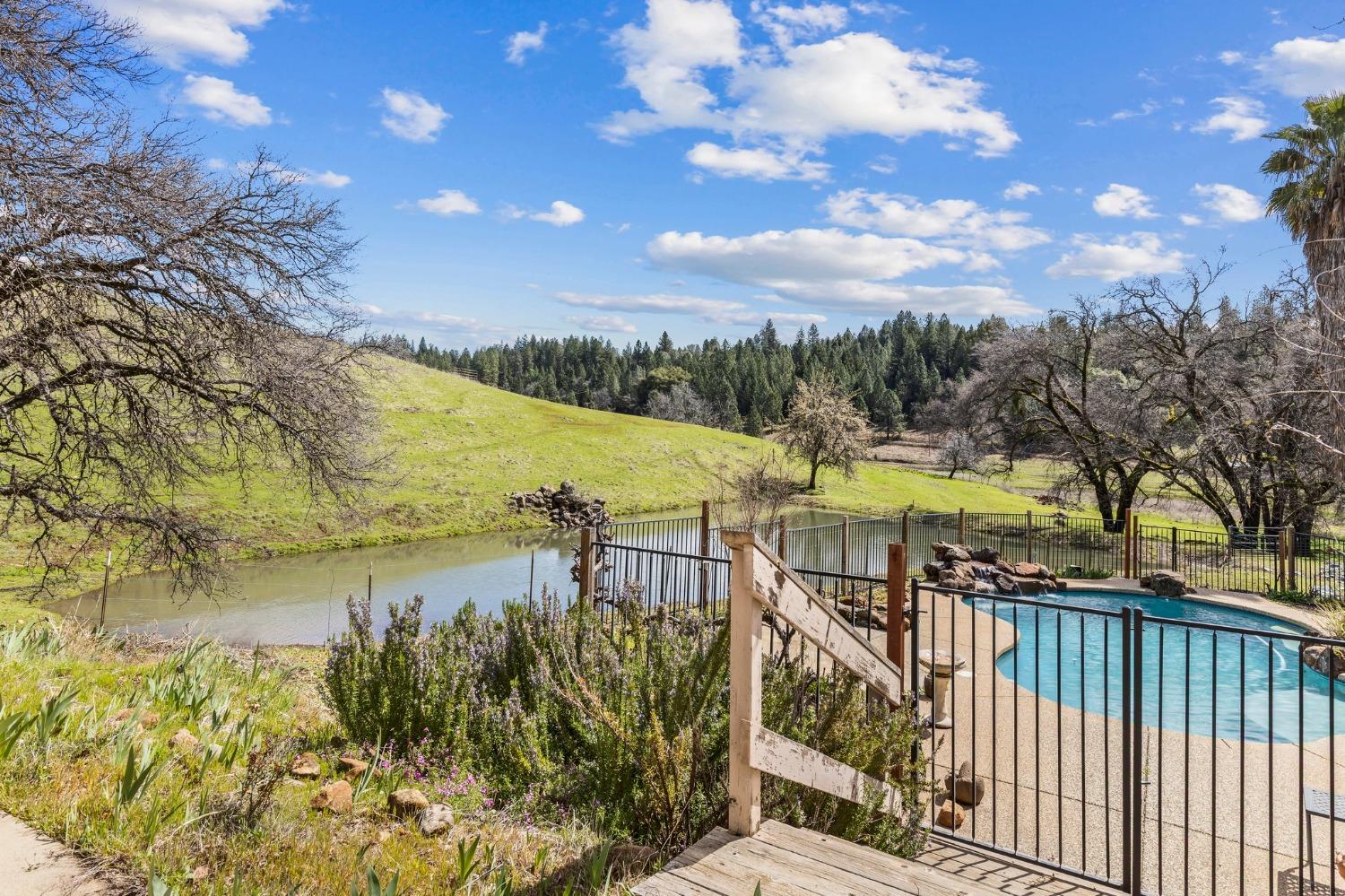 Detail Gallery Image 50 of 75 For 20219 Ponderosa Trl, Volcano,  CA 95689 - 3 Beds | 2/1 Baths