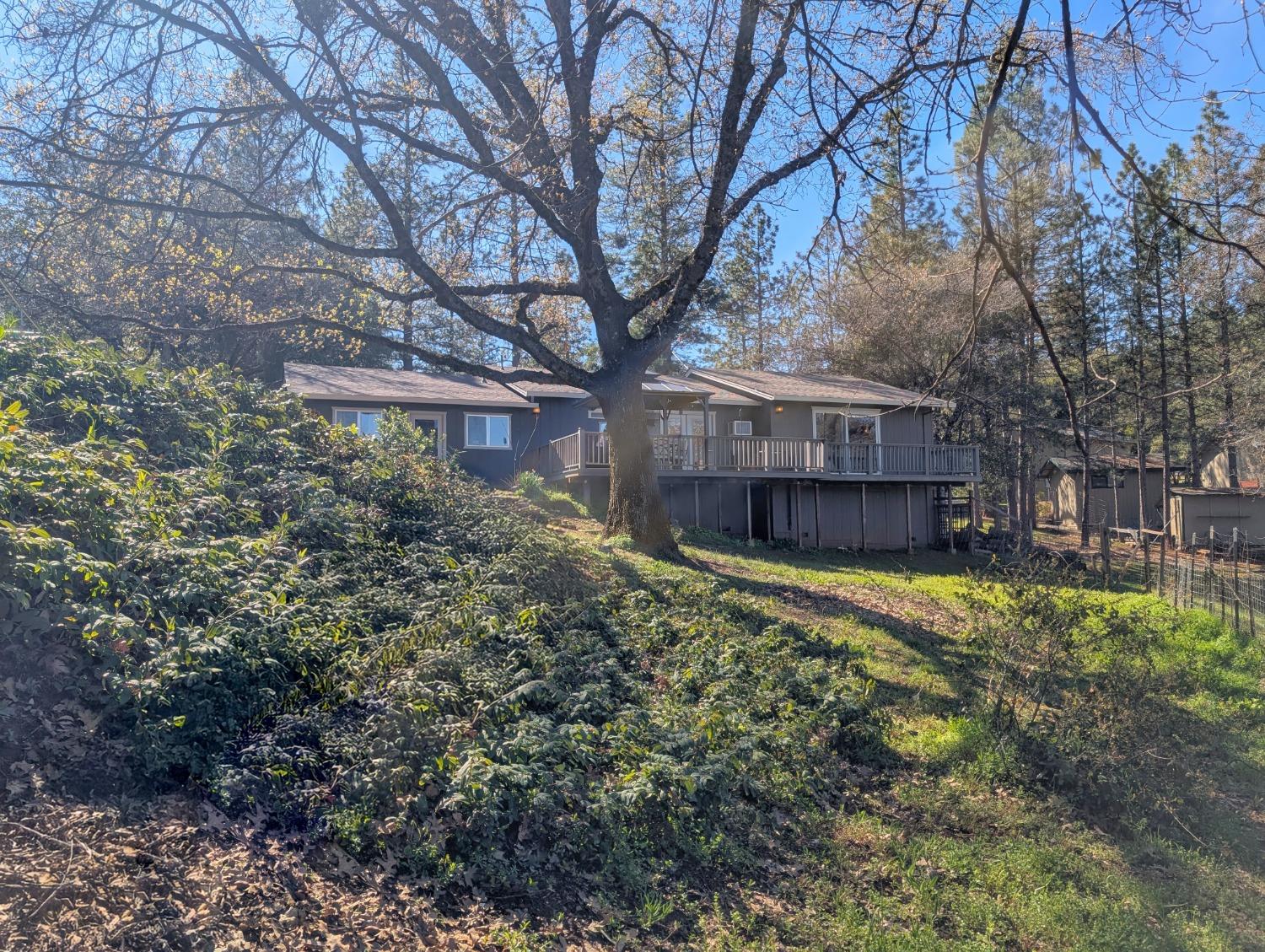 Detail Gallery Image 5 of 72 For 11310 Clinton Bar Rd, Pine Grove,  CA 95665 - 2 Beds | 2/1 Baths
