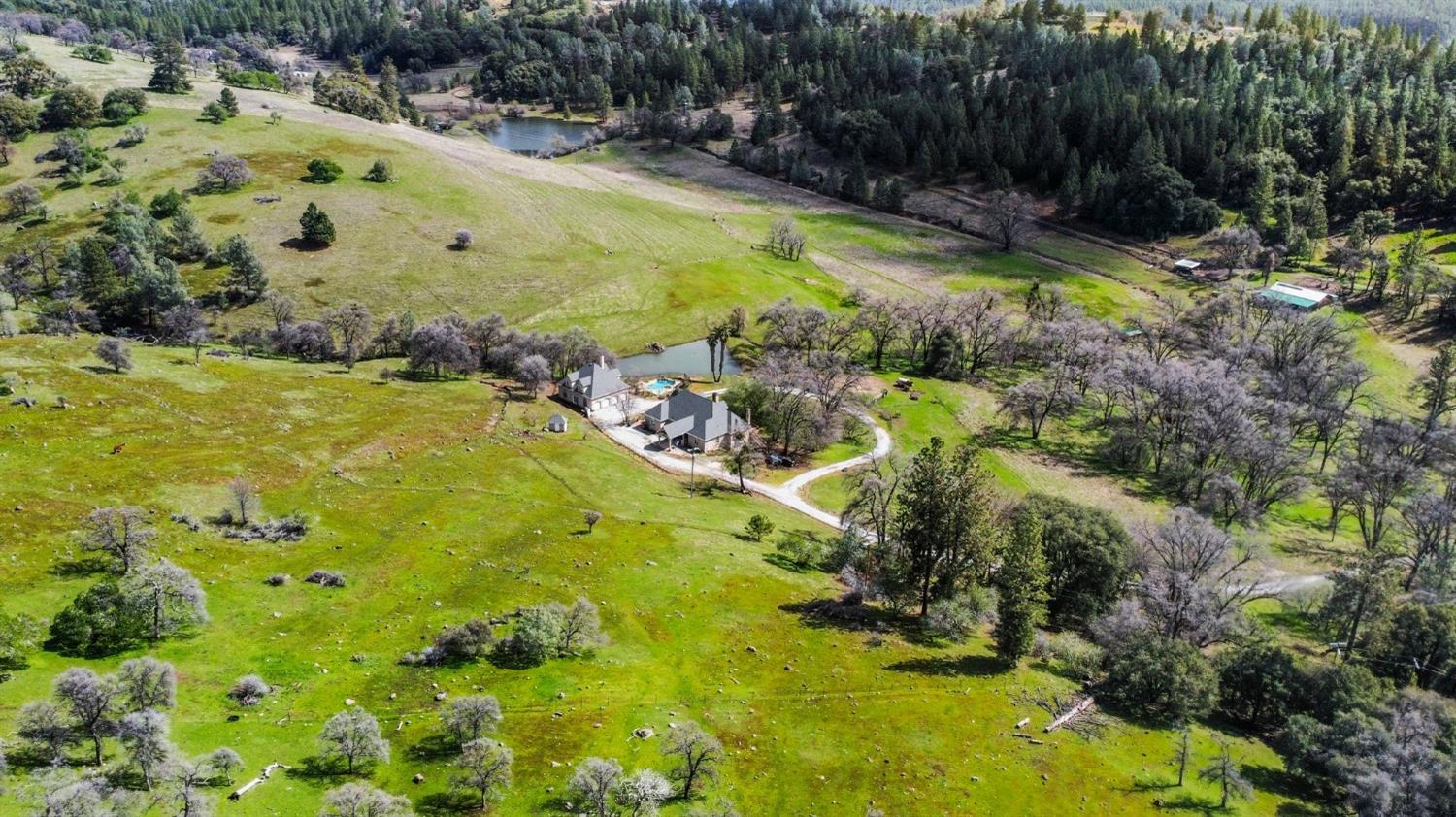 Detail Gallery Image 64 of 75 For 20219 Ponderosa Trl, Volcano,  CA 95689 - 3 Beds | 2/1 Baths