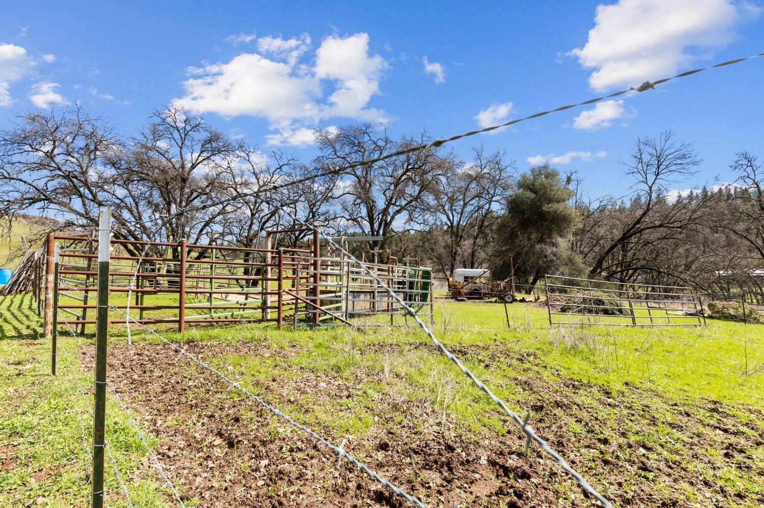 Detail Gallery Image 58 of 75 For 20219 Ponderosa Trl, Volcano,  CA 95689 - 3 Beds | 2/1 Baths