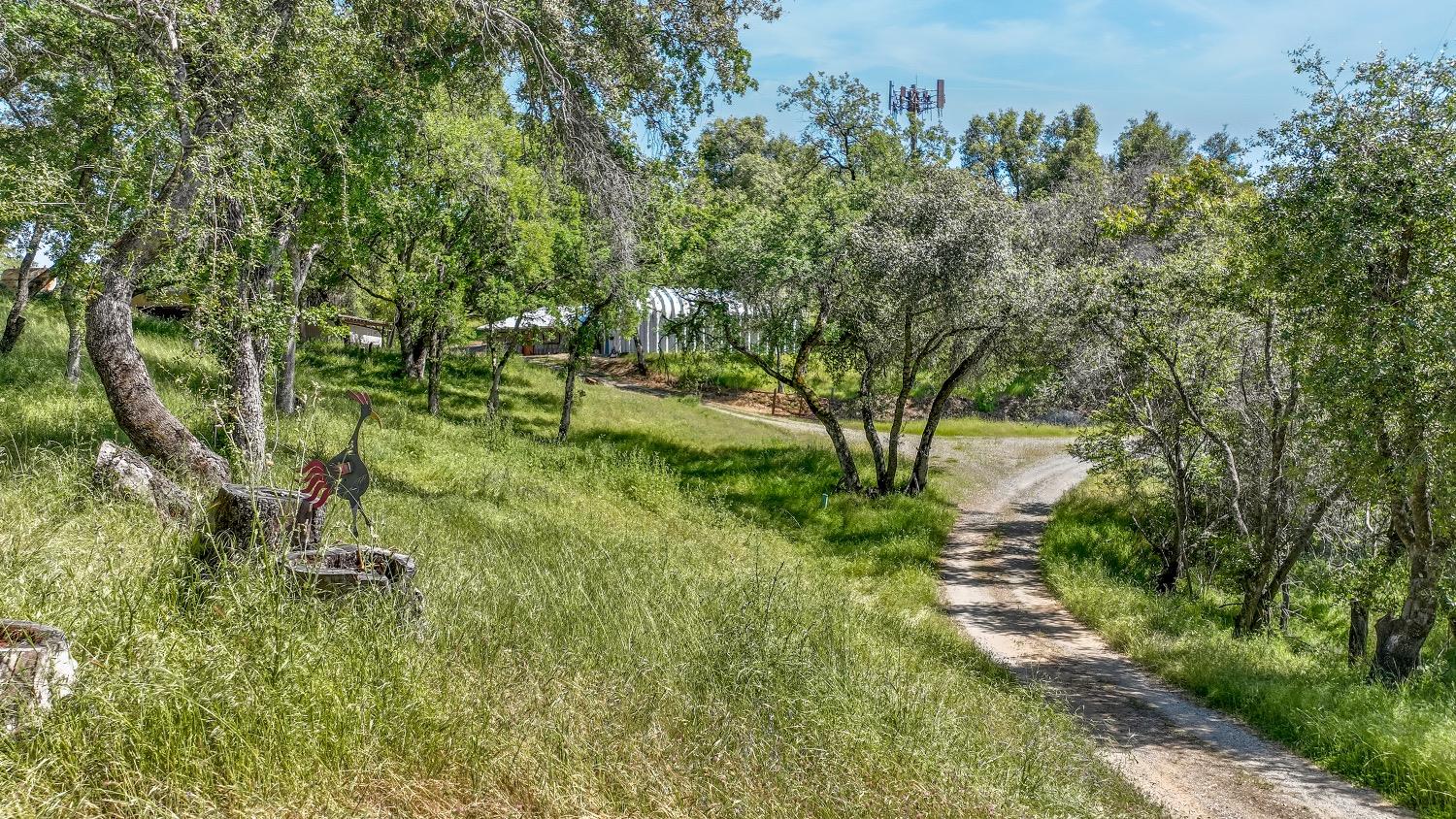 Detail Gallery Image 86 of 86 For 8812 Miwok Trl, Mokelumne Hill,  CA 95245 - 3 Beds | 4 Baths