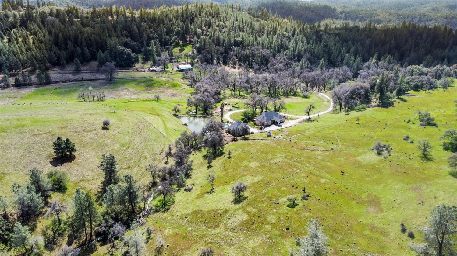 Detail Gallery Image 65 of 75 For 20219 Ponderosa Trl, Volcano,  CA 95689 - 3 Beds | 2/1 Baths