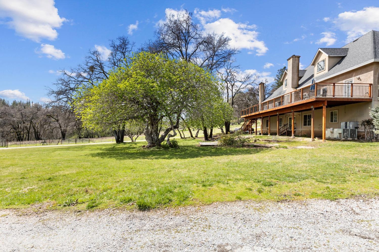 Detail Gallery Image 56 of 75 For 20219 Ponderosa Trl, Volcano,  CA 95689 - 3 Beds | 2/1 Baths