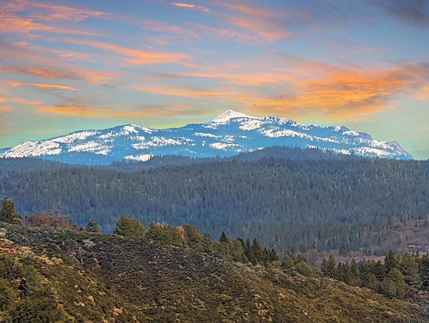 Detail Gallery Image 4 of 72 For 11310 Clinton Bar Rd, Pine Grove,  CA 95665 - 2 Beds | 2/1 Baths