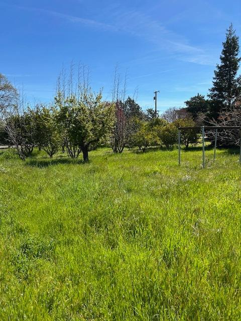 Dierks Road, Sacramento, California image 3