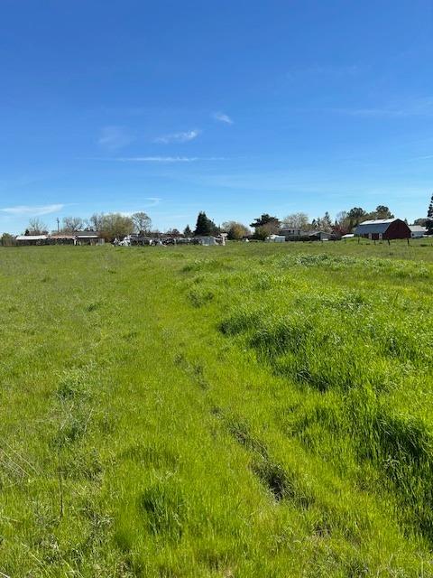 Dierks Road, Sacramento, California image 19
