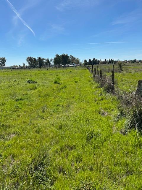 Dierks Road, Sacramento, California image 18