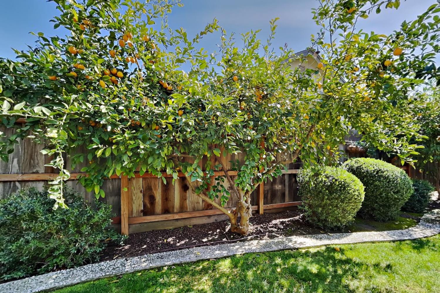 Detail Gallery Image 86 of 92 For 2100 Sherwood - a Ave, Modesto,  CA 95350 - 3 Beds | 2/1 Baths