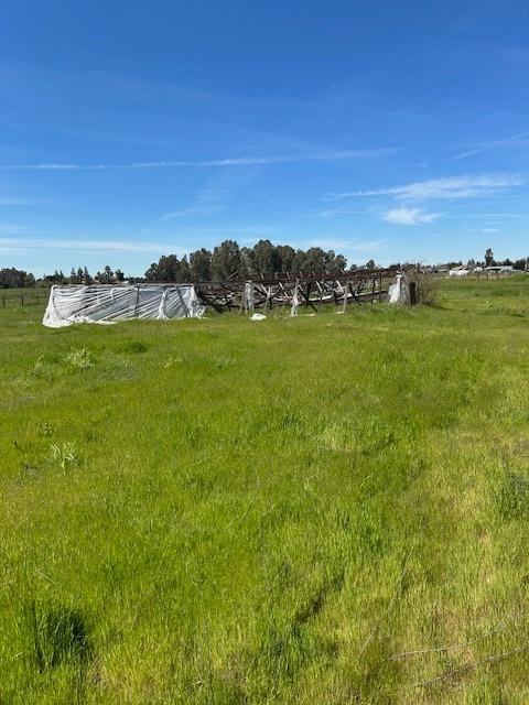 Dierks Road, Sacramento, California image 6