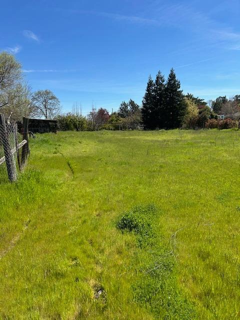 Dierks Road, Sacramento, California image 4