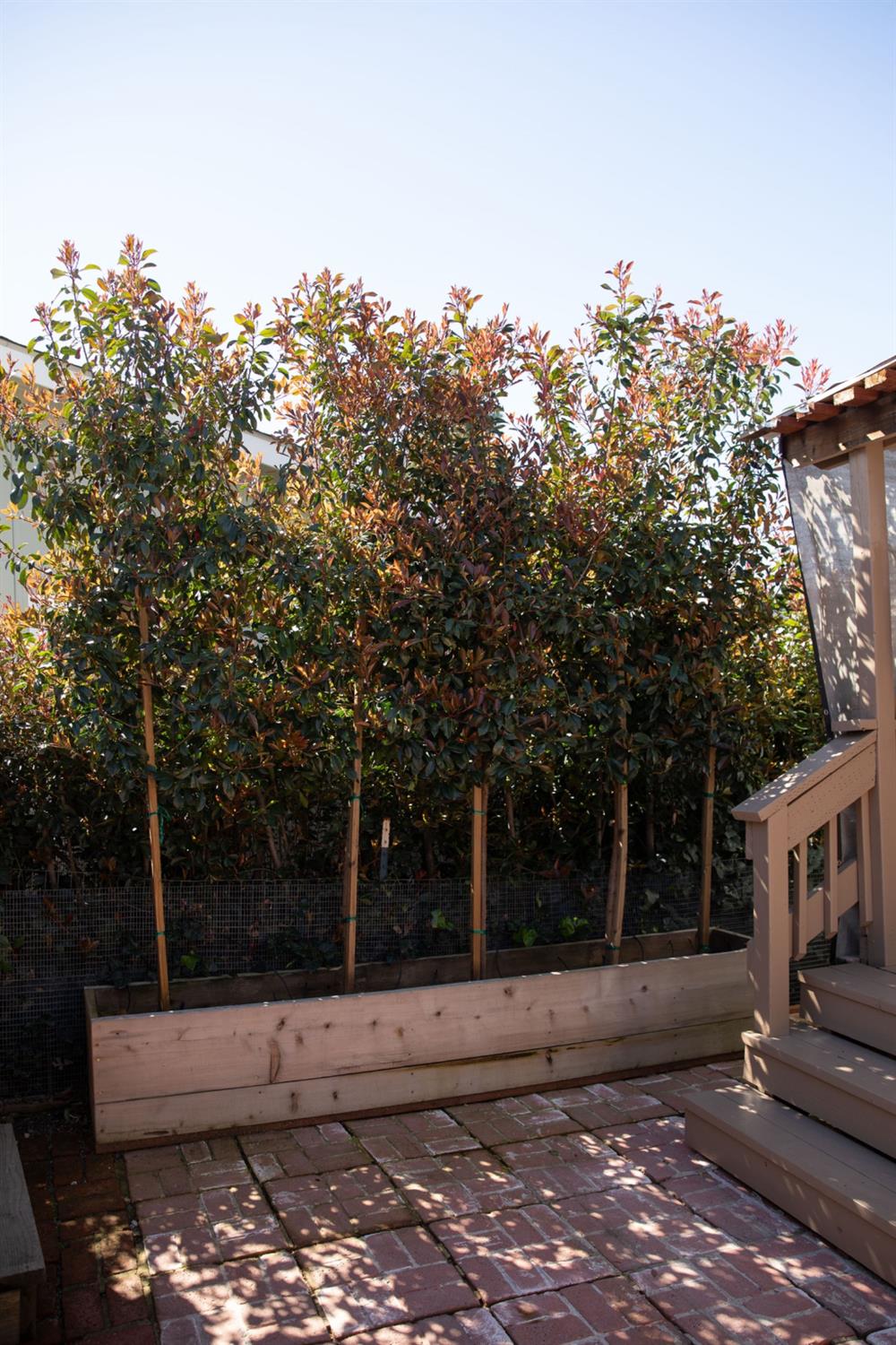 Detail Gallery Image 37 of 47 For 350 Pleasant Valley Rd 51, Diamond Springs,  CA 95619 - 3 Beds | 2 Baths