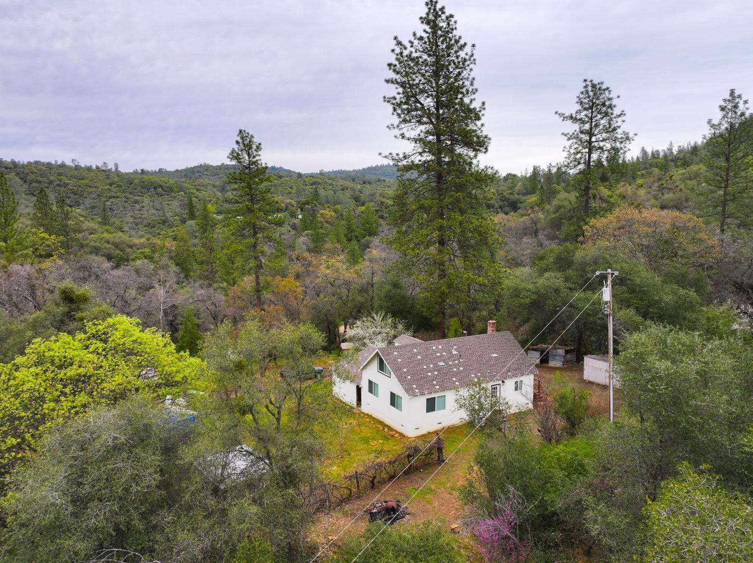 Detail Gallery Image 66 of 67 For 15967 Vierra, Rackerby,  CA 95972 - 2 Beds | 2 Baths