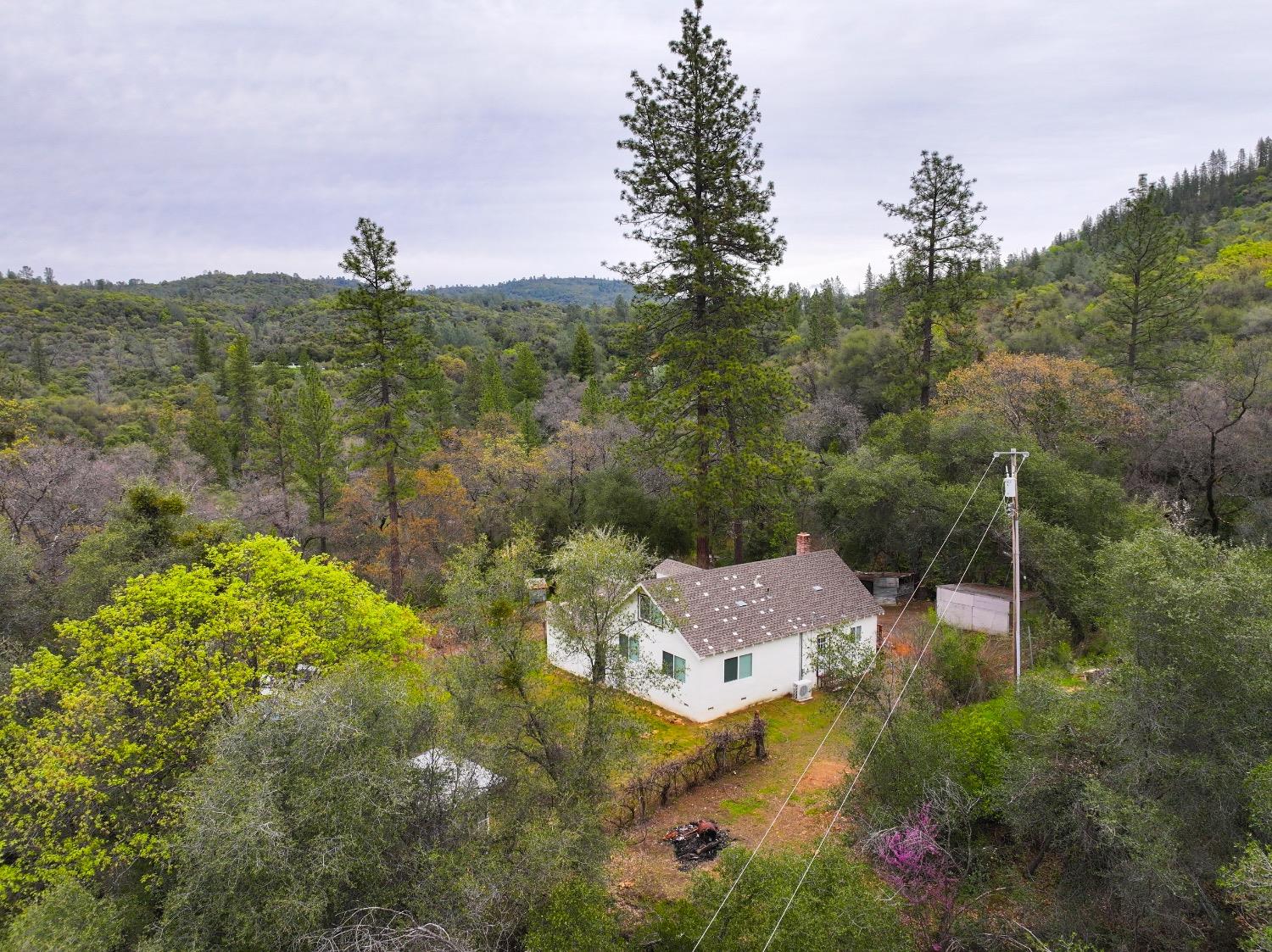 Detail Gallery Image 67 of 67 For 15967 Vierra, Rackerby,  CA 95972 - 2 Beds | 2 Baths