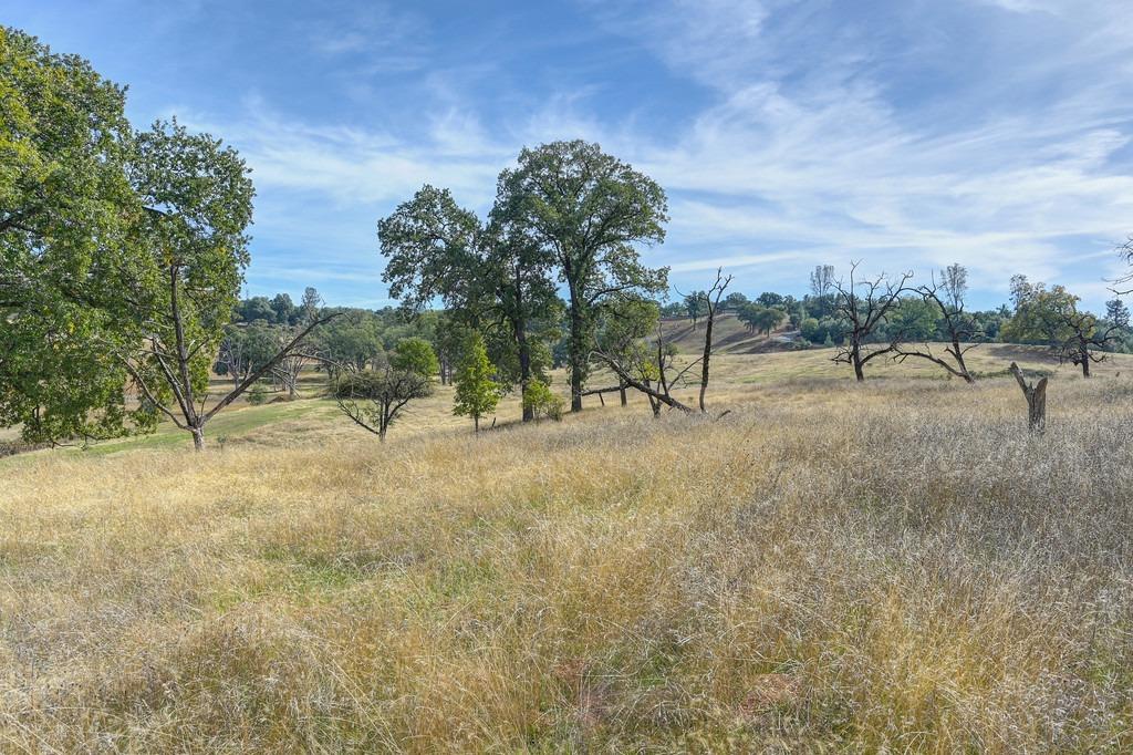 Shinn Ranch Road, El Dorado, California image 3
