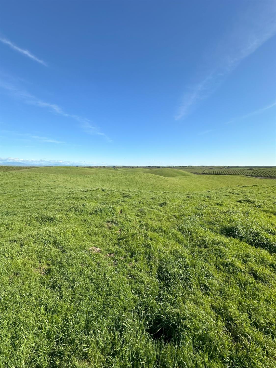 Detail Gallery Image 34 of 73 For 1100 Crabtree Rd, Waterford,  CA 95386 - – Beds | – Baths