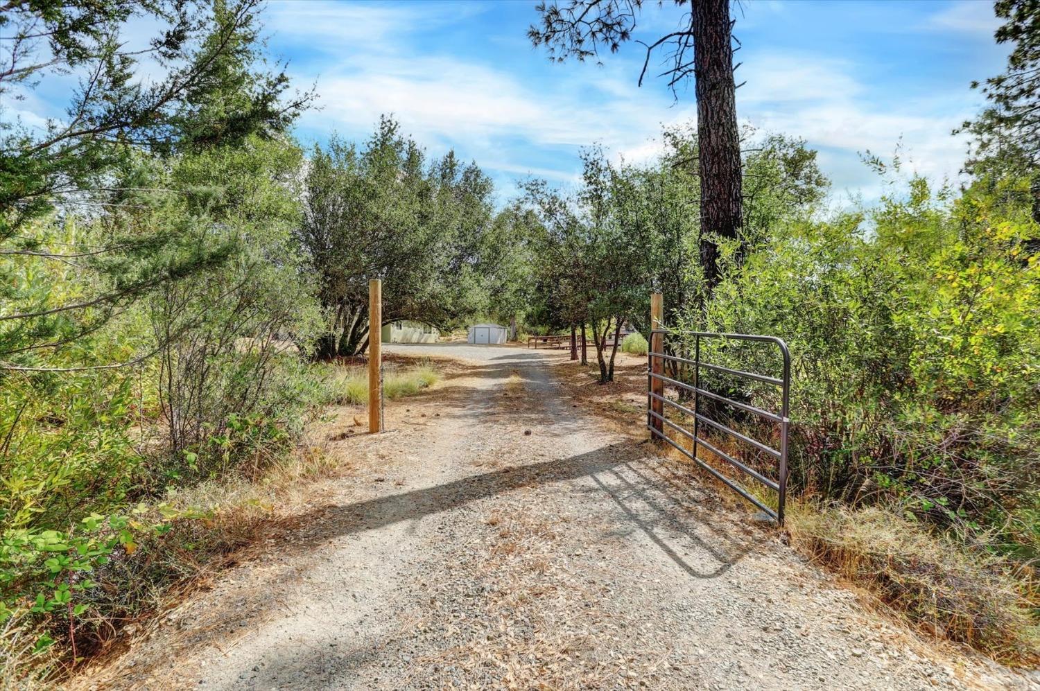 Detail Gallery Image 75 of 76 For 13807 Bluebird Way, Oregon House,  CA 95962 - 5 Beds | 4 Baths