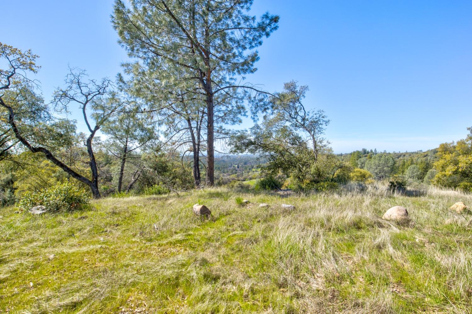 Detail Gallery Image 72 of 99 For 19277 Cedar Pines Dr, Fiddletown,  CA 95629 - 1 Beds | 2/2 Baths