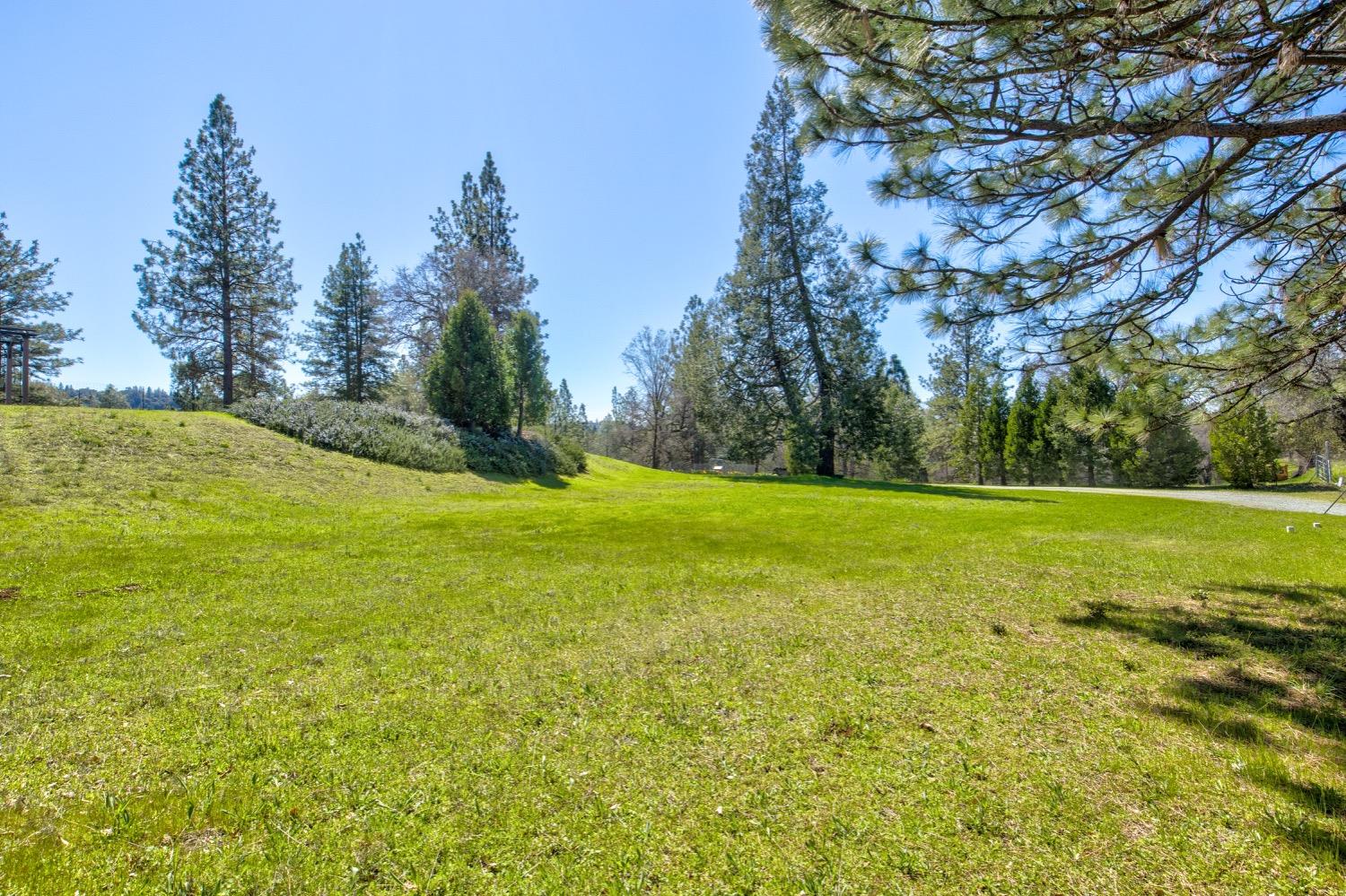 Detail Gallery Image 56 of 99 For 19277 Cedar Pines Dr, Fiddletown,  CA 95629 - 1 Beds | 2/2 Baths