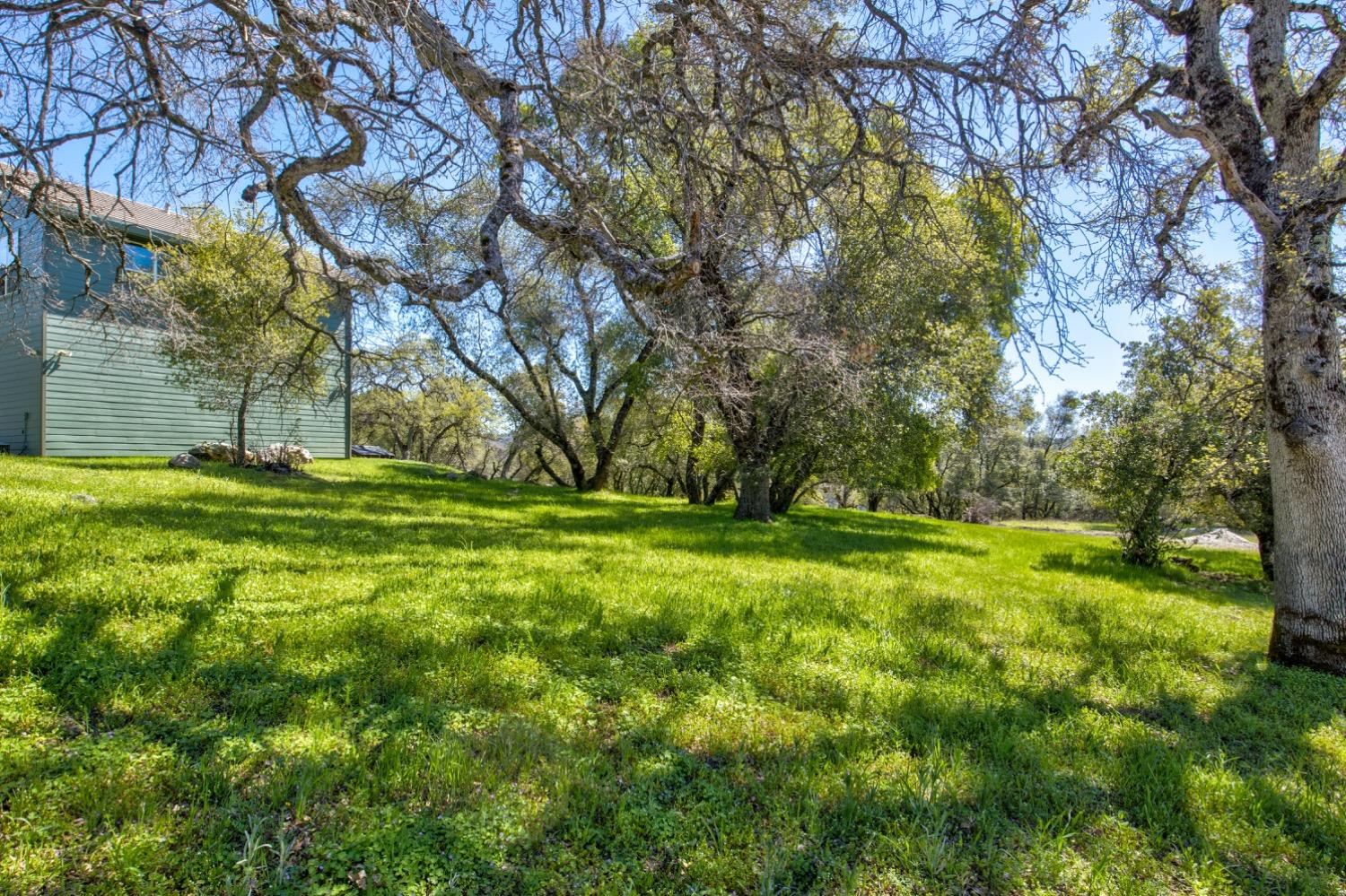 Detail Gallery Image 69 of 99 For 19277 Cedar Pines Dr, Fiddletown,  CA 95629 - 1 Beds | 2/2 Baths
