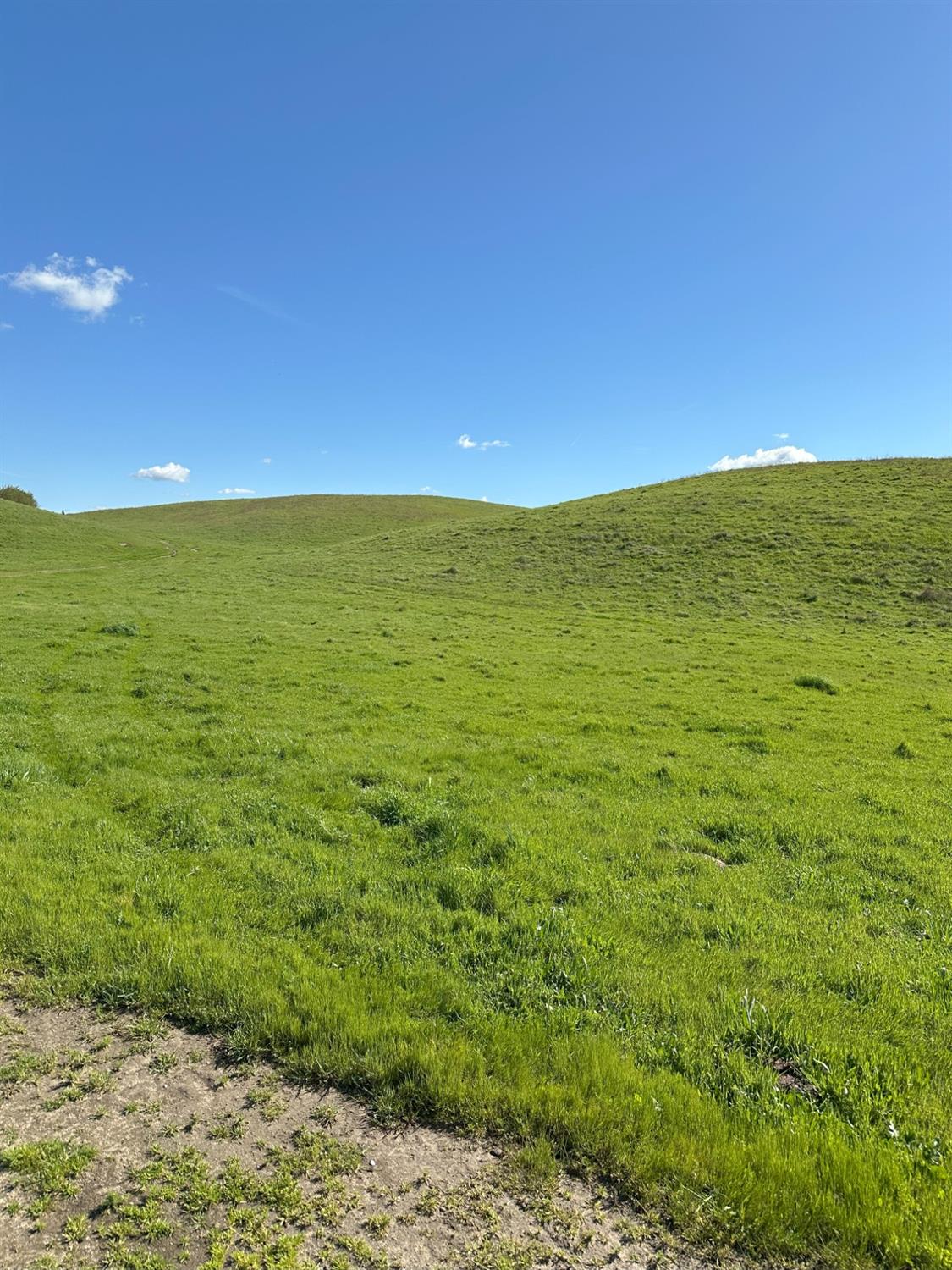 Detail Gallery Image 4 of 73 For 1100 Crabtree Rd, Waterford,  CA 95386 - – Beds | – Baths