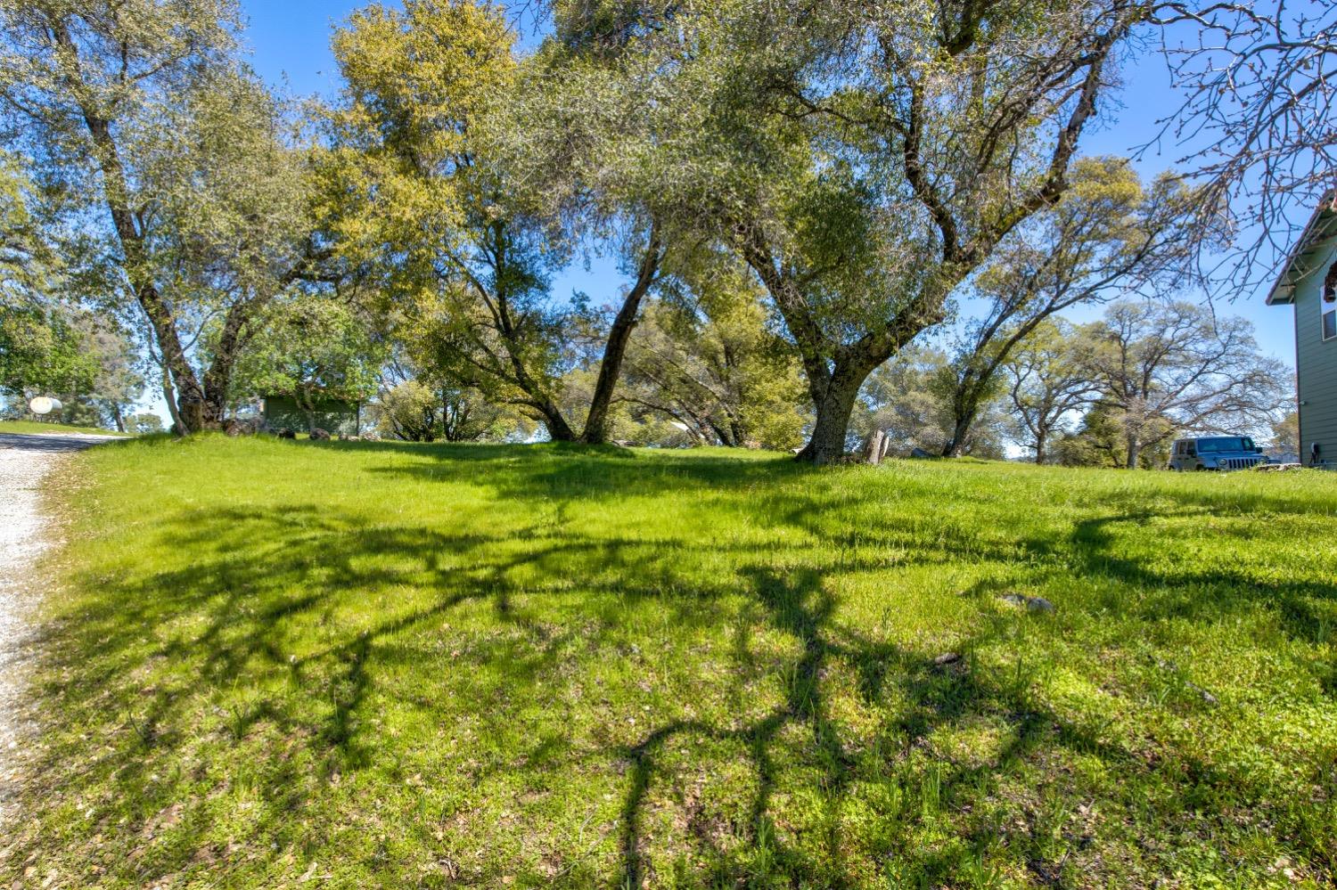 Detail Gallery Image 70 of 99 For 19277 Cedar Pines Dr, Fiddletown,  CA 95629 - 1 Beds | 2/2 Baths