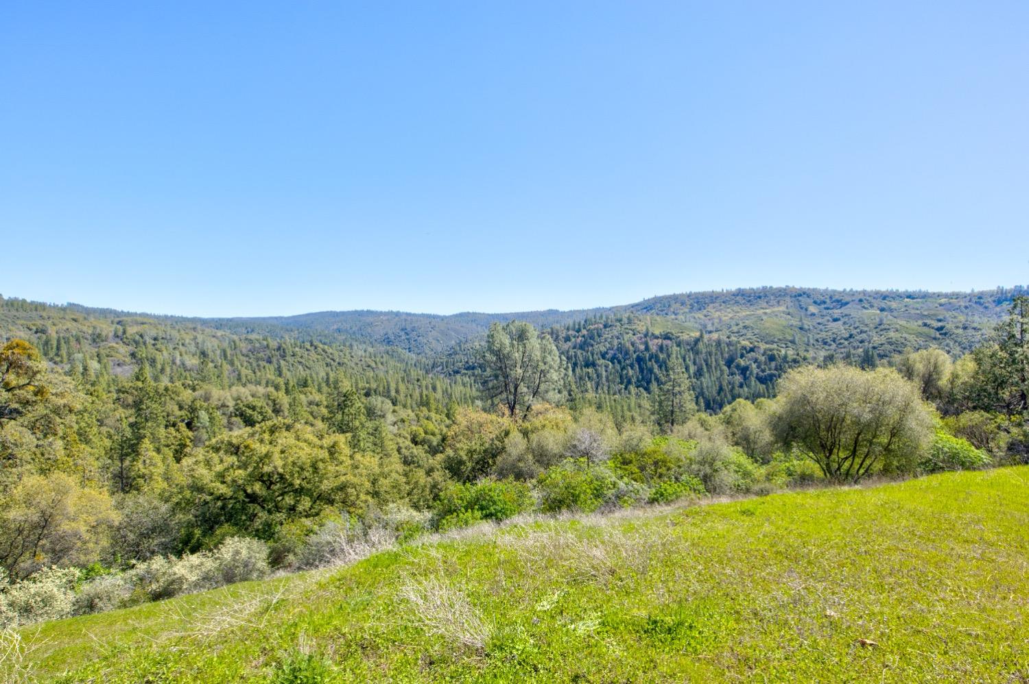 Detail Gallery Image 52 of 99 For 19277 Cedar Pines Dr, Fiddletown,  CA 95629 - 1 Beds | 2/2 Baths