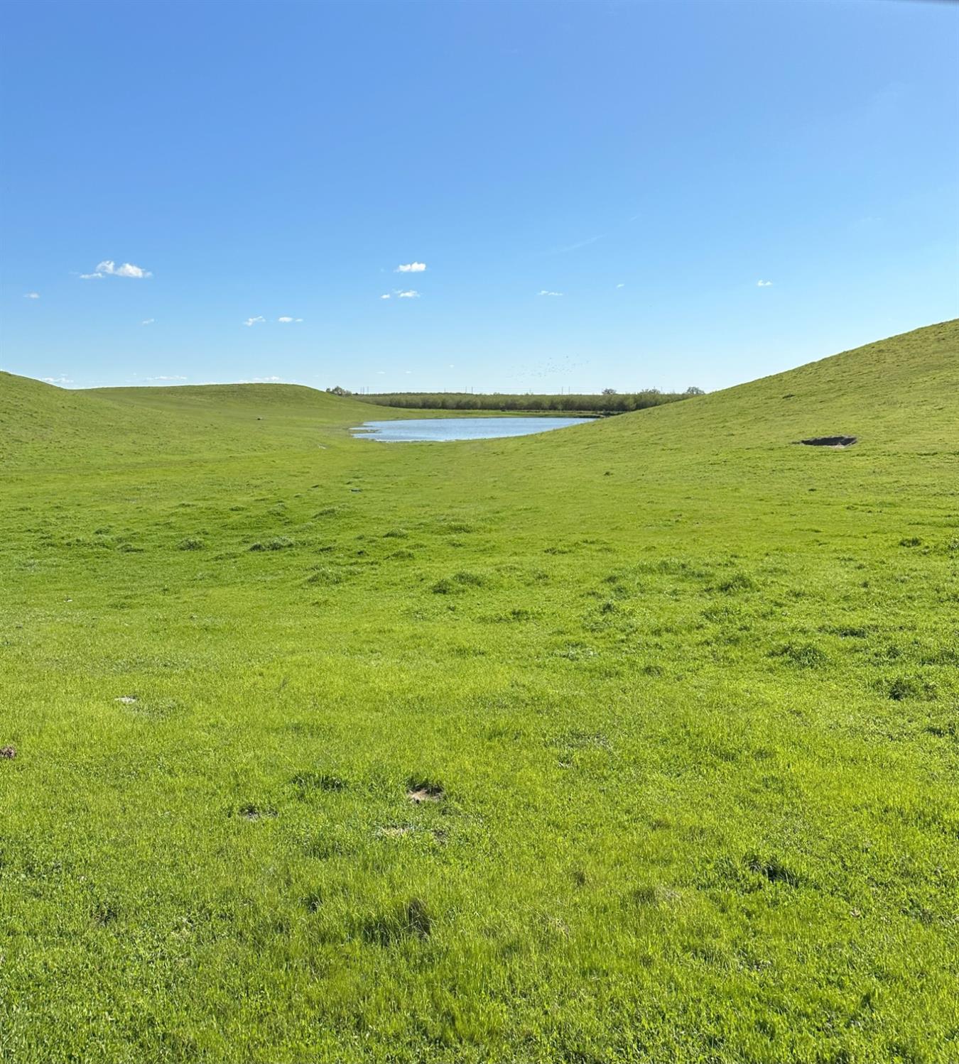 Detail Gallery Image 16 of 73 For 1100 Crabtree Rd, Waterford,  CA 95386 - – Beds | – Baths
