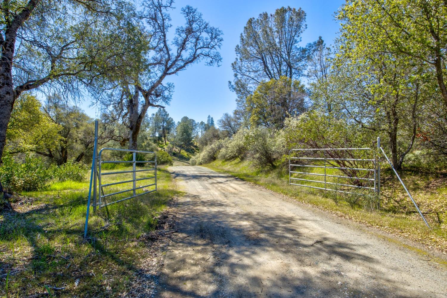 Detail Gallery Image 65 of 99 For 19277 Cedar Pines Dr, Fiddletown,  CA 95629 - 1 Beds | 2/2 Baths