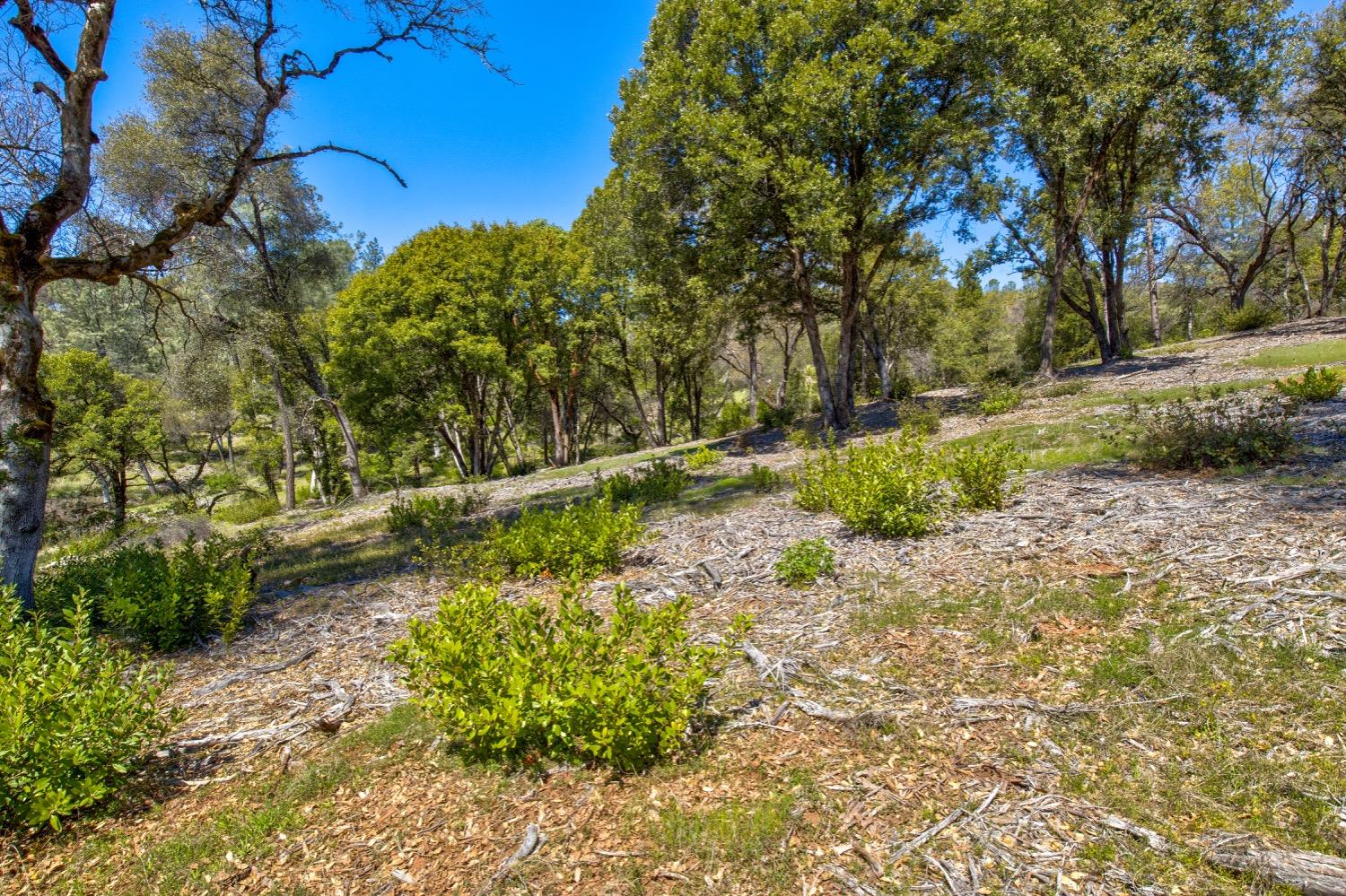 Detail Gallery Image 4 of 99 For 19277 Cedar Pines Dr, Fiddletown,  CA 95629 - 1 Beds | 2/2 Baths