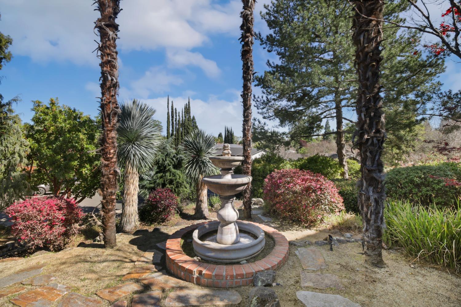 Detail Gallery Image 6 of 99 For 4117 Thistledown Dr, Fair Oaks,  CA 95628 - 4 Beds | 3/1 Baths