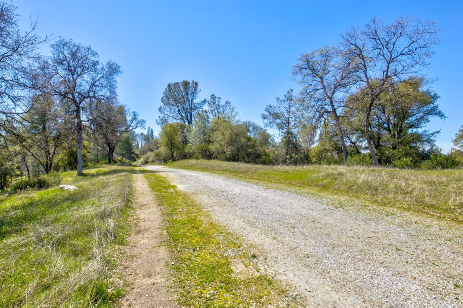 Detail Gallery Image 64 of 99 For 19277 Cedar Pines Dr, Fiddletown,  CA 95629 - 1 Beds | 2/2 Baths